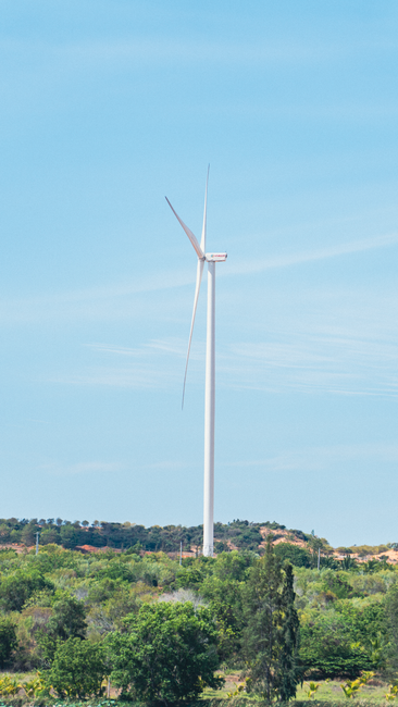 Măsuri de urgență pentru economisirea energiei electrice adoptate de Curtea Constituțională
