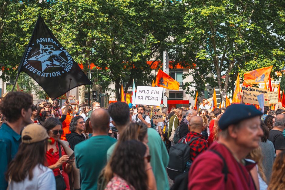 Mii de oameni protestează în București pentru drepturile animalelor