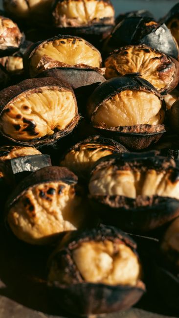 Descoperă comorile castanului comestibil din Tismana