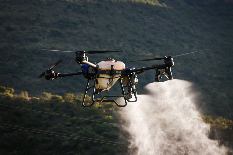 Târgoviște pregătește o nouă acțiune de combatere a insectelor prin pulverizare aeriană
