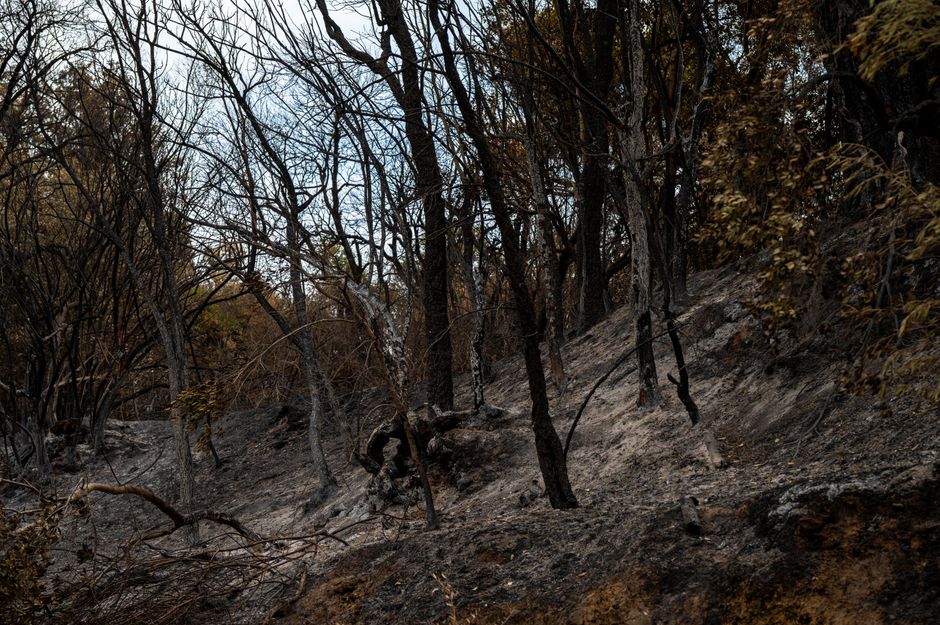 Incendiu devastator în satul Bobăița: localnicii se tem pentru casele lor