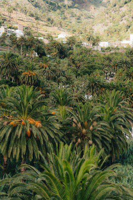 Descoperă La Gomera: insula secretă a Canarelor cu plaje de nisip negru
