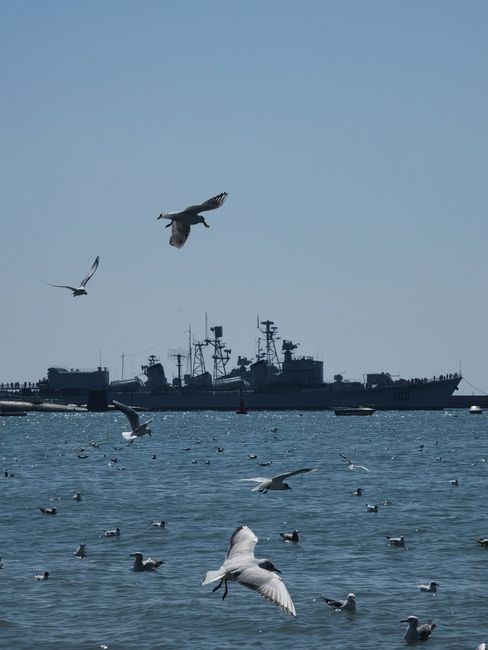 Președintele României absență surprinzătoare de la Ziua Marinei