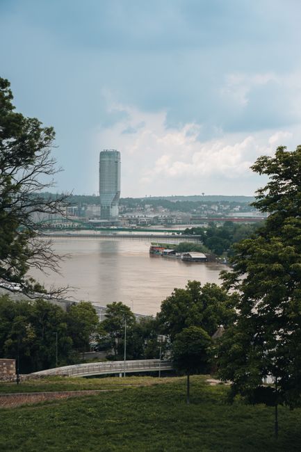 Dunărea înregistrează un nivel record de scădere: o insulă croată devine accesibilă pe jos din Serbia