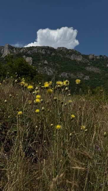 Descoperă Bloom Wonderland, tărâmul fermecat la doar câțiva pași de Giurgiu!