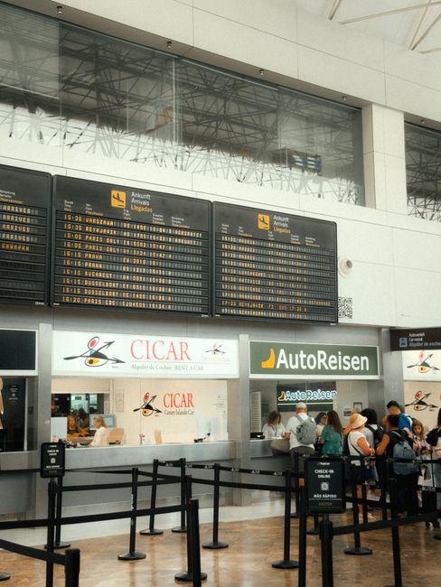 Captură impresionantă la VAMA Otopeni: Zeci de mii de țigarete și sume mari de bani confiscate