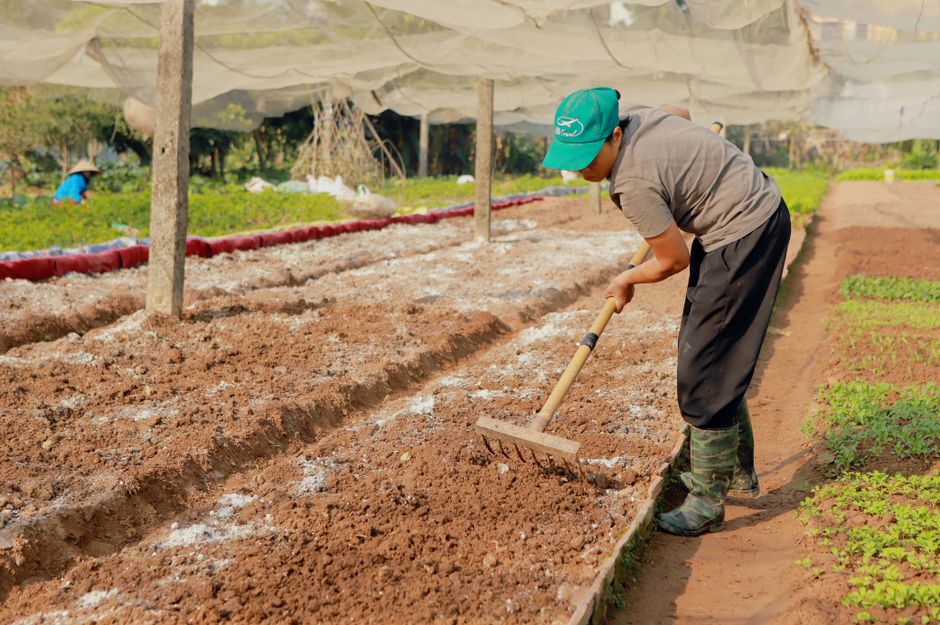 Ministerul Agriculturii lansează scheme de finanțare de 113 milioane de euro pentru micii fermieri