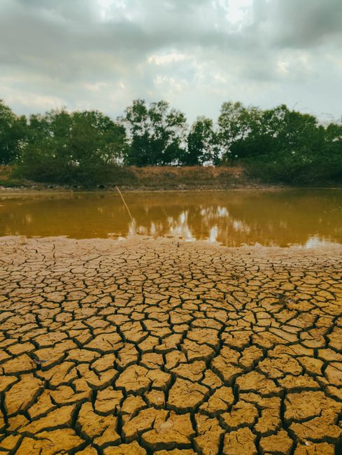 Dunărea în pericol: nivelul apei atinge un minim alarmant