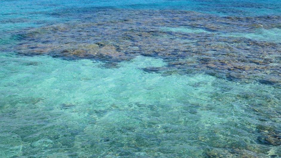 Temperaturi record în Mările Europei: Mediterana depășește 33 de grade Celsius