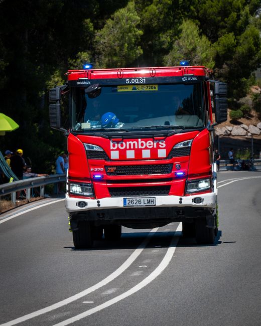 Descoperire alarmantă în Tușnad: muniție din al Doilea Război Mondial găsită lângă pădure