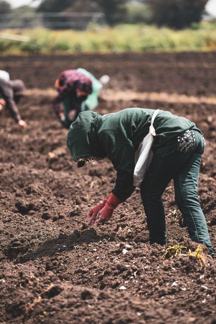 Controalele ITM la Sibiu scot la iveală abuzuri în utilizarea zilierilor