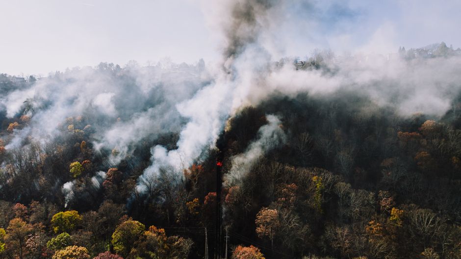 Incendiu devastator în pădurea din Plauru: o dronă ar putea fi cauza