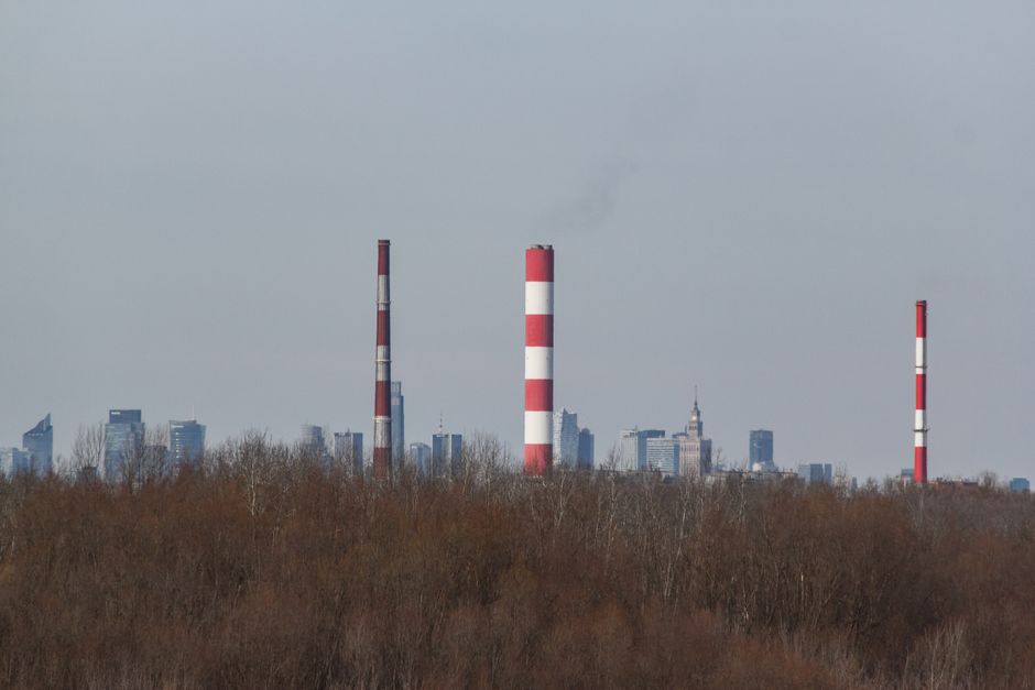 Controversele arborilor tuia: Râmnicu Vâlcea în mijlocul unui scandal politic