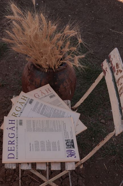 Revista Septentrion literar: un far al culturii române din Cernăuți