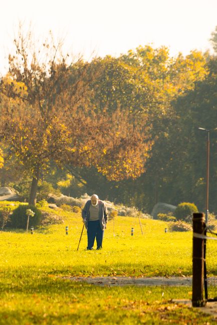 Descoperirea surprinzătoare care ar putea explica longevitatea extremă
