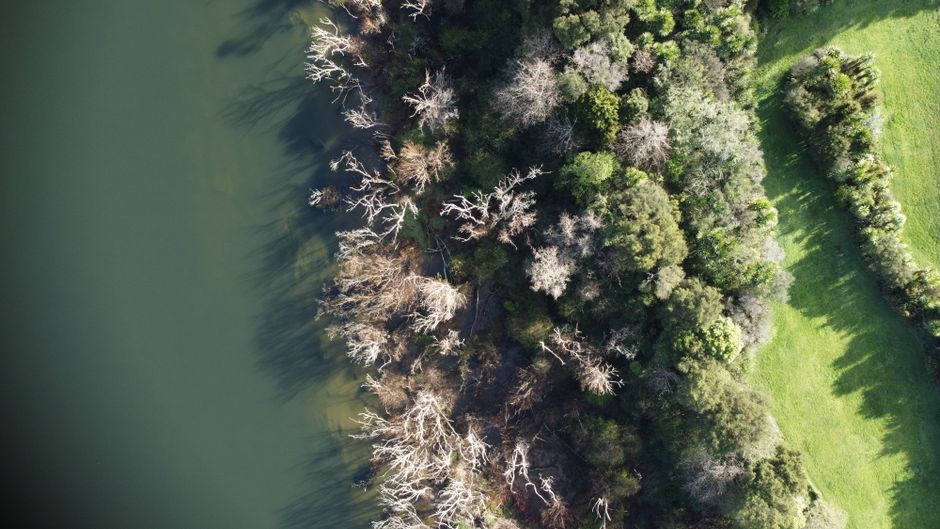 Experiența neobișnuită a ecologiștilor neozeelandezi în Sulina, în umbra conflictului din Ucraina