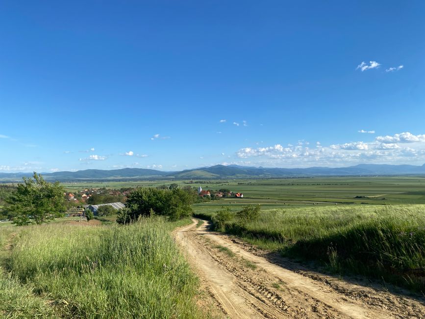 Căldură sufocantă în România: Ce temperaturi ne așteaptă azi