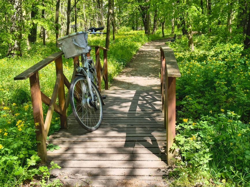 Descoperă noul traseu de biciclete din Botoșani: o aventură plină de surprize!