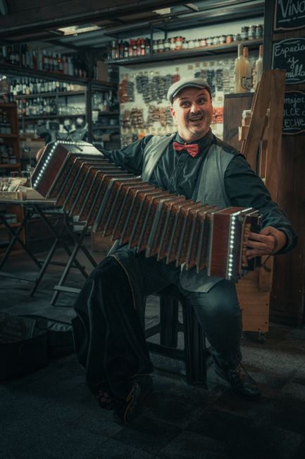 Un concert de neuitat la Grădina Botanică: melancolie și virtuozitate pentru ultima noapte de vară