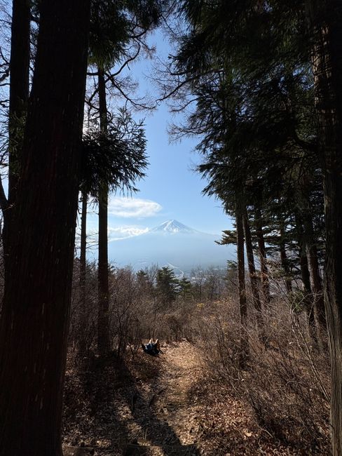 Descoperă cel mai lung traseu de drumeție din Japonia: 350 de kilometri de aventură