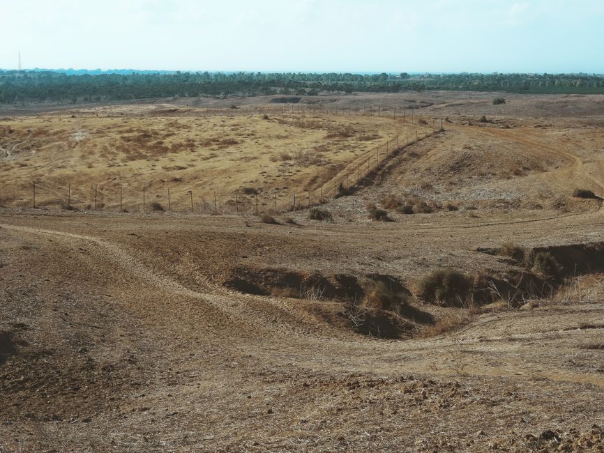 Maramureșul transformă peisajul: o savană surprinzătoare în mijlocul naturii