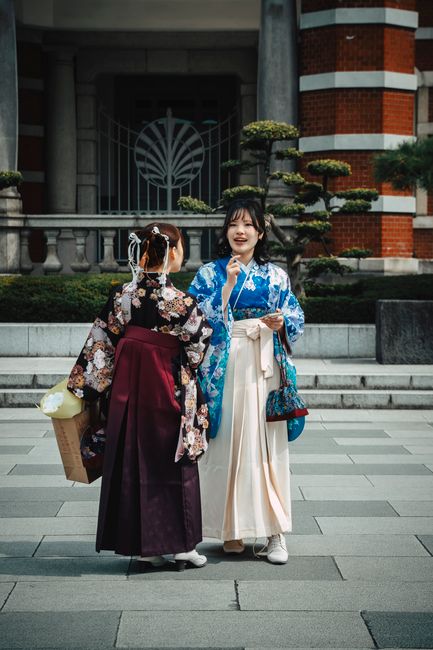 Cine este românca legendară pe care ambasadorul Japoniei vrea să o invite la cină