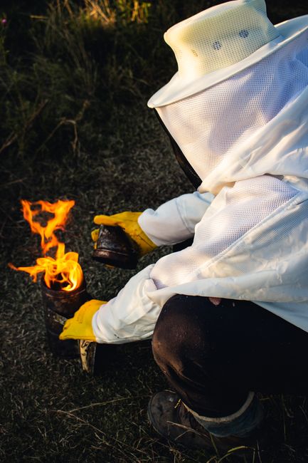 Incendiu devastator în Bihor: 100 de pomi fructiferi și 60 de stupi distruși