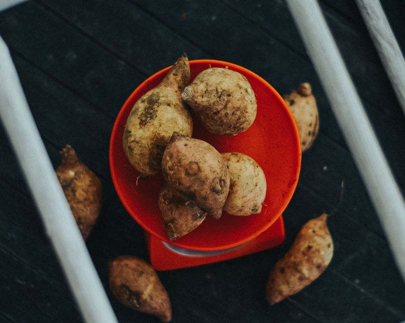 Yam: leguma tropicală cu beneficii uimitoare pentru sănătate