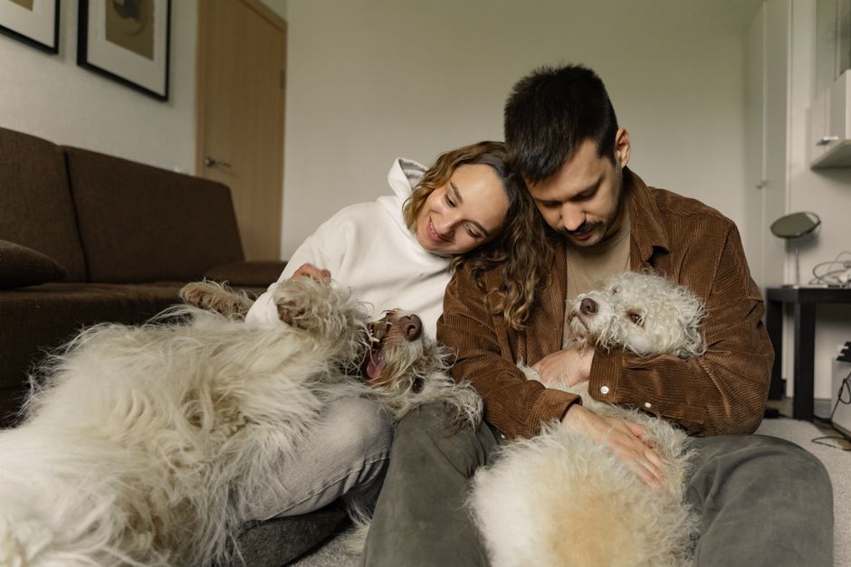 Descoperă legătura specială dintre oameni și câini, celebrată de viceprimarul din Zalău