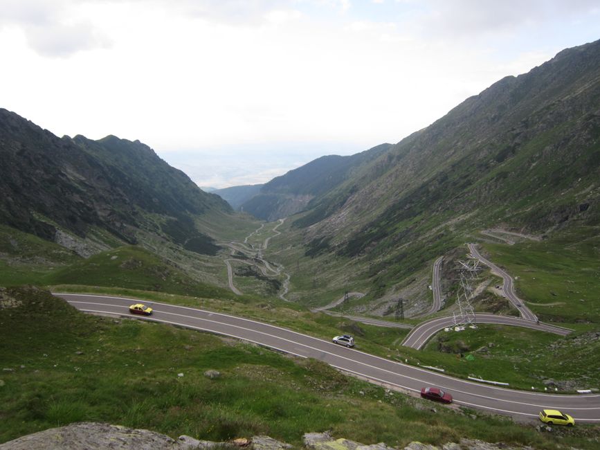Întâlnire neașteptată pe Transfăgărășan: o ursoaică atacă o mașină