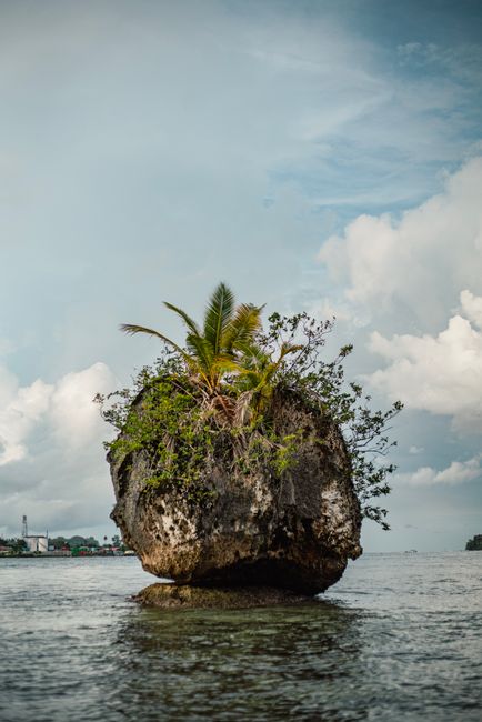 O nouă națiune pe cale de a se naște: Bougainville își cere independența