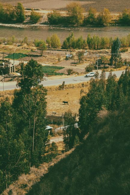 Descoperă noua variantă ocolitoare din Rozavlea, o bijuterie naturală