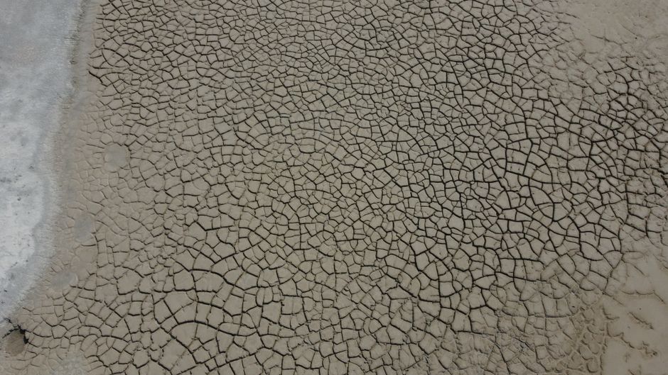 Lacul Techirghiol: retragerea apei lasă în urmă un peisaj dezolant
