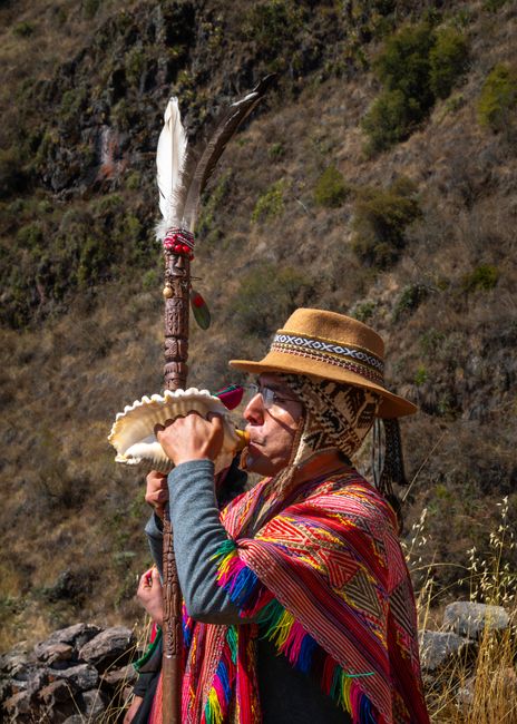 Captura DIICOT: șamani din Hunedoara promiteau experiențe cu ayahuasca, dar au căzut în plasă
