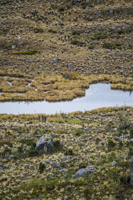 Evadarea incredibilă a unui soldat columbian: cum a reușit să scape din captivitate