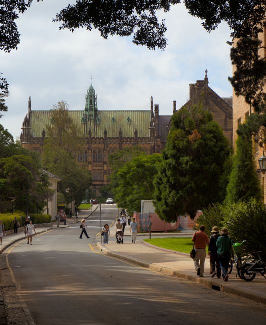 Un student australian trăiește în mașină pentru a-și susține studiile universitare