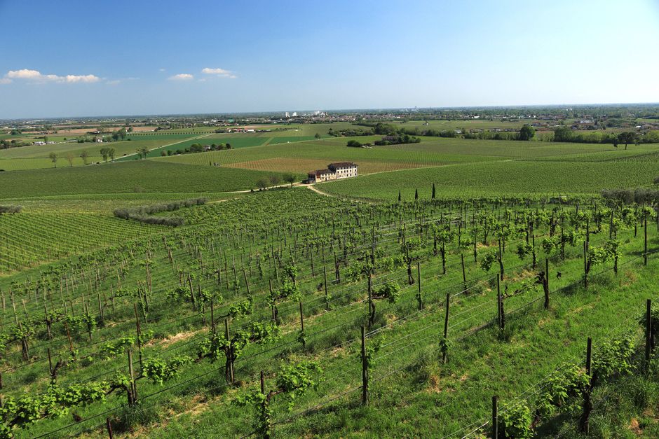 Vizita ambasadorului Italiei la Consiliul Județean Arad: O legătură istorică și economică