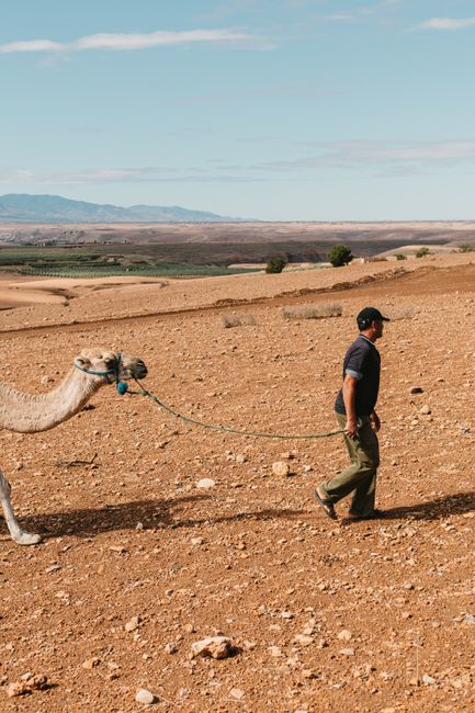 Spania pregătește cetățenia pentru 200.000 de foste colonii din Sahara Occidentală