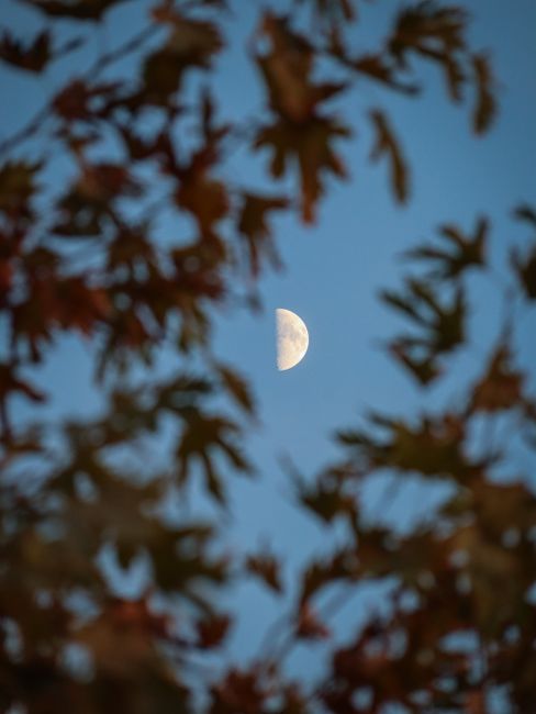 Echinocțiul de toamnă 2026: ce trebuie să știi despre acest fenomen natural