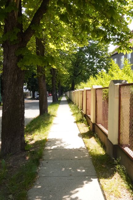 Greutățile vieții, reflectate în natura de pe strada Industriei din Bistrița