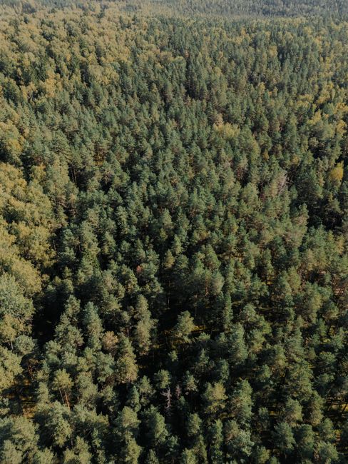 Impactul protecției mediului asupra sănătății și biodiversității globale