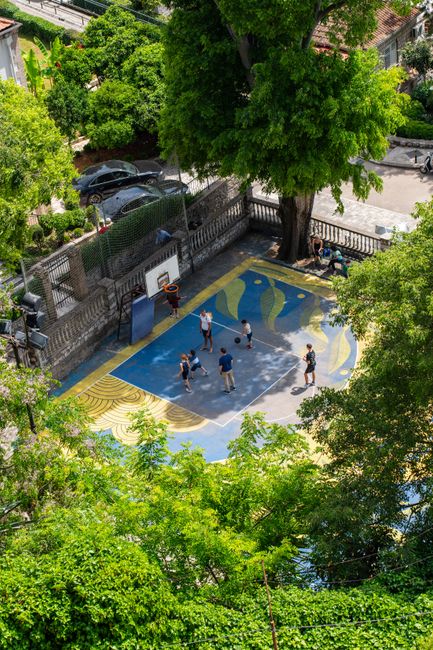 Baschetul în Târgu Jiu primește o nouă față printr-o investiție semnificativă