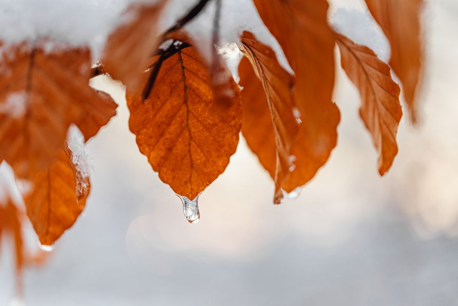 Schimbări dramatice în vreme: temperaturi cu 15 grade mai scăzute și primele ninsori la munte