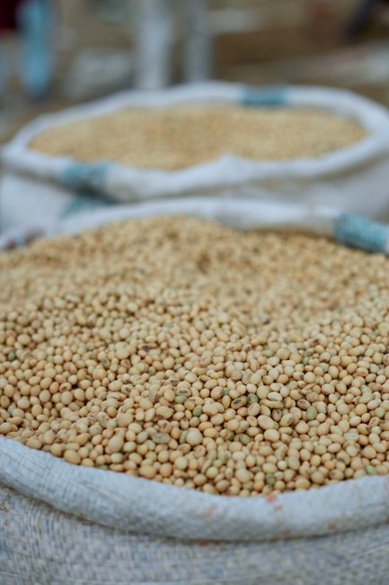 Schimbări majore la Cooperativa Agricolă Tase-Săcele din Constanța