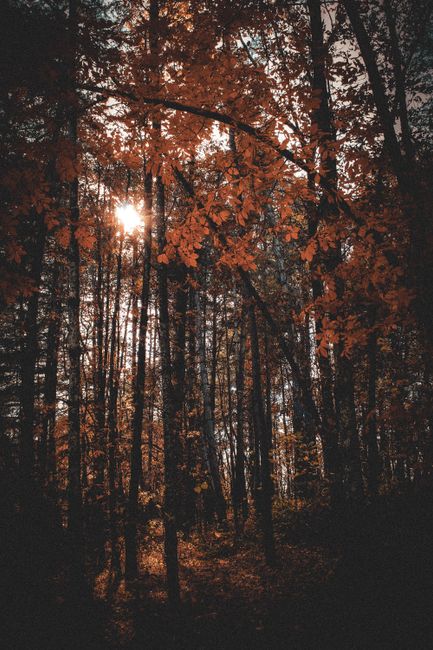 Toamna astronomică a sosit: când se schimbă ora în România