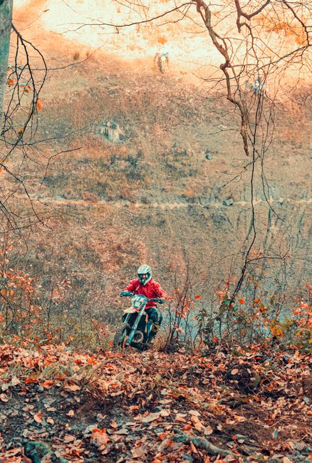 Patru turiști cehi amendați pentru off-road în Munții Gutâi