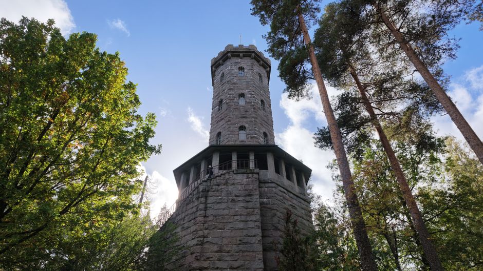 Țara Hațegului strălucește la Conferința Internațională a Geoparcurilor din Finlanda
