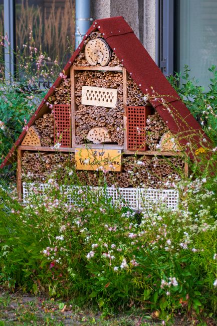 Târgu Jiu introduce un hotel pentru insecte în Parcul Central
