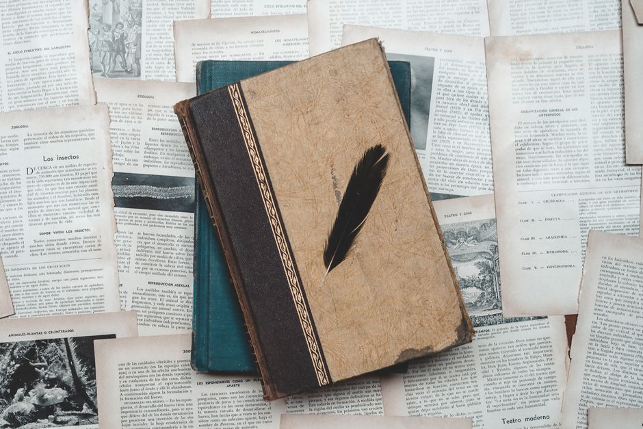 Tragedie în lumea literară: profesoara Rodica Neagu a trecut în neființă