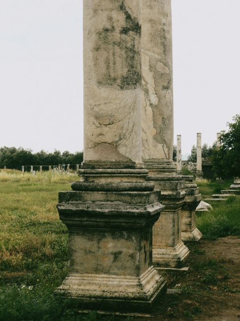 Un eveniment de excepție dedicat patrimoniului arheologic de la Băile Figa